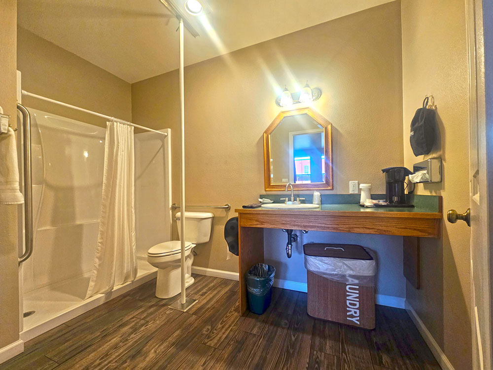 The bathroom of the accessible room with accessible shower and a pole next to the toilet